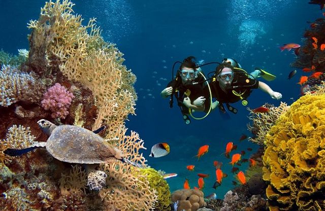 Buceo y esnórquel en Cartagena - DroomHuisSpanje