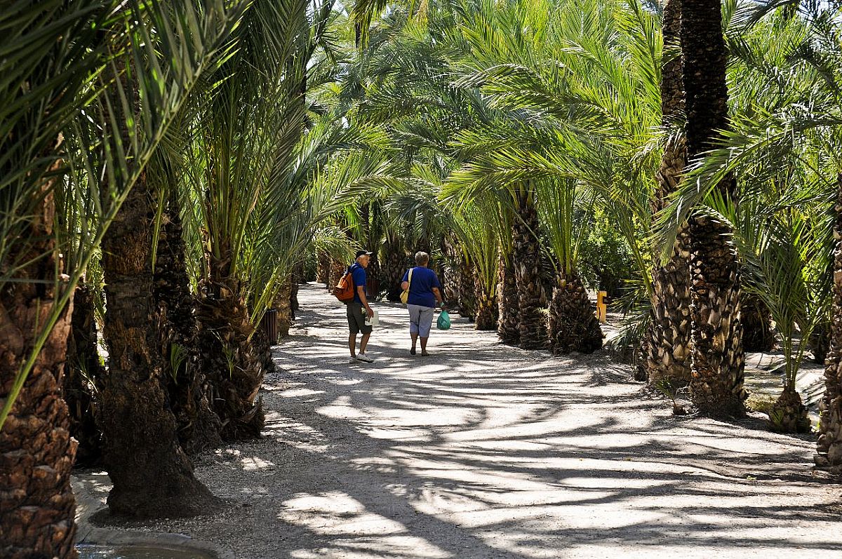 Nieuw circulair wandelpad in Elche – Costa Blanca in september open voor publiek