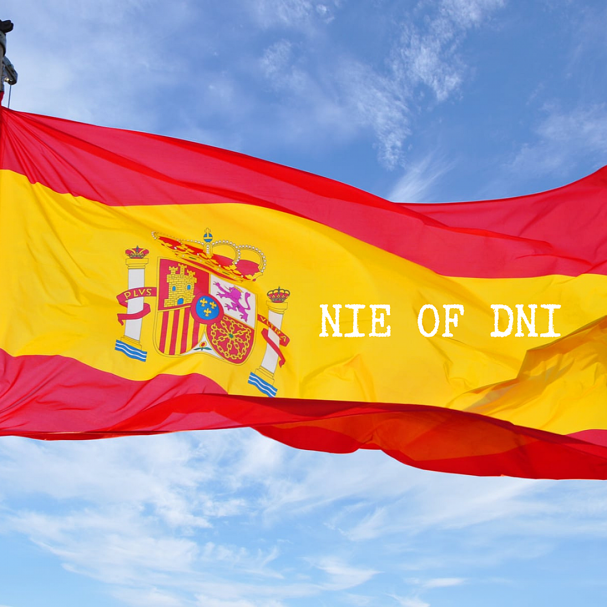 Wat is het verschil tussen NIE & DNI