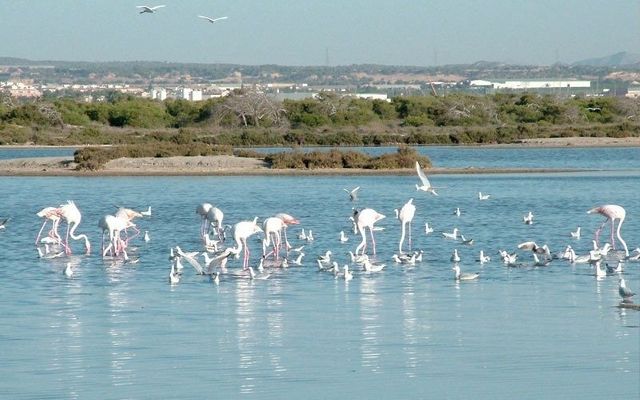 Ontdek San Pedro del Pinatar