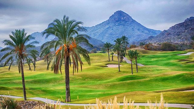 Droomhuisspanje presenteert dit gloednieuwe complex op toplocatie in San Juan de Los Terreros