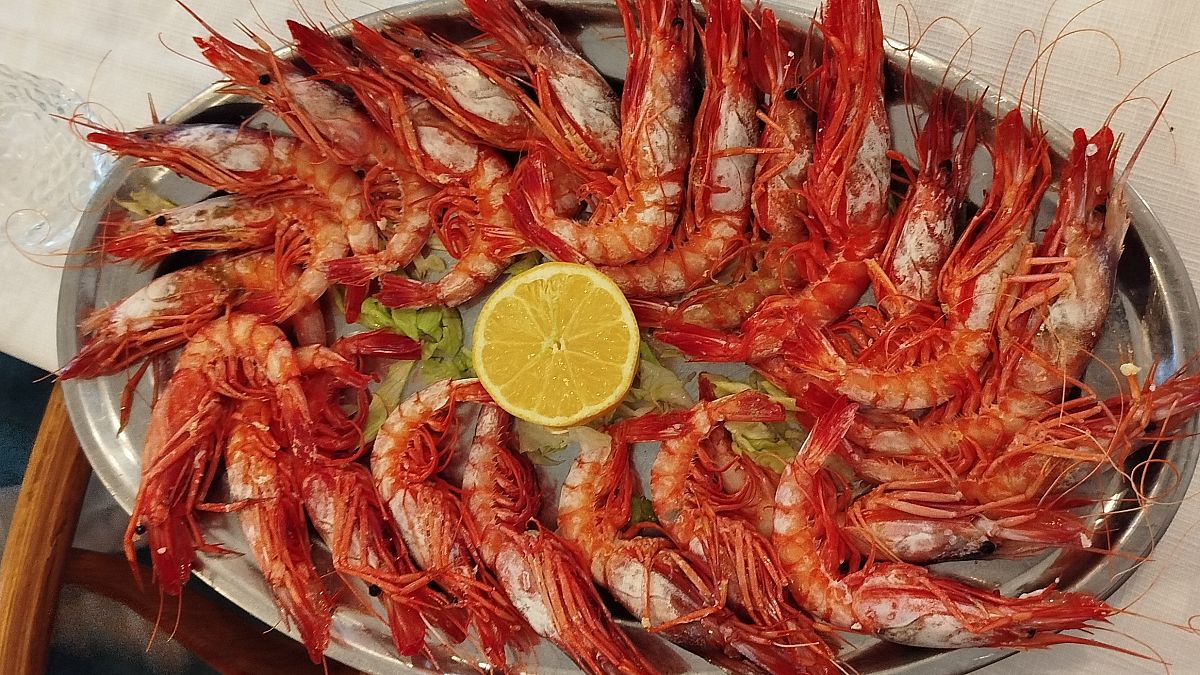 La Gamba Roja festival Aguilas 2026