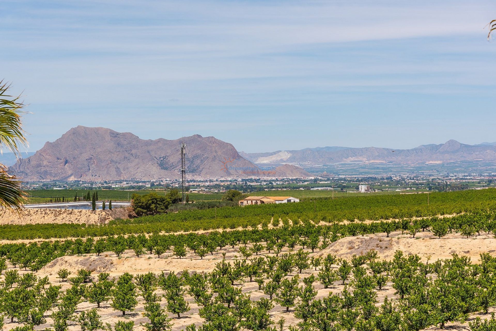 Chalet independiente en La Finca Golf - Obra nueva - DroomHuisSpanje