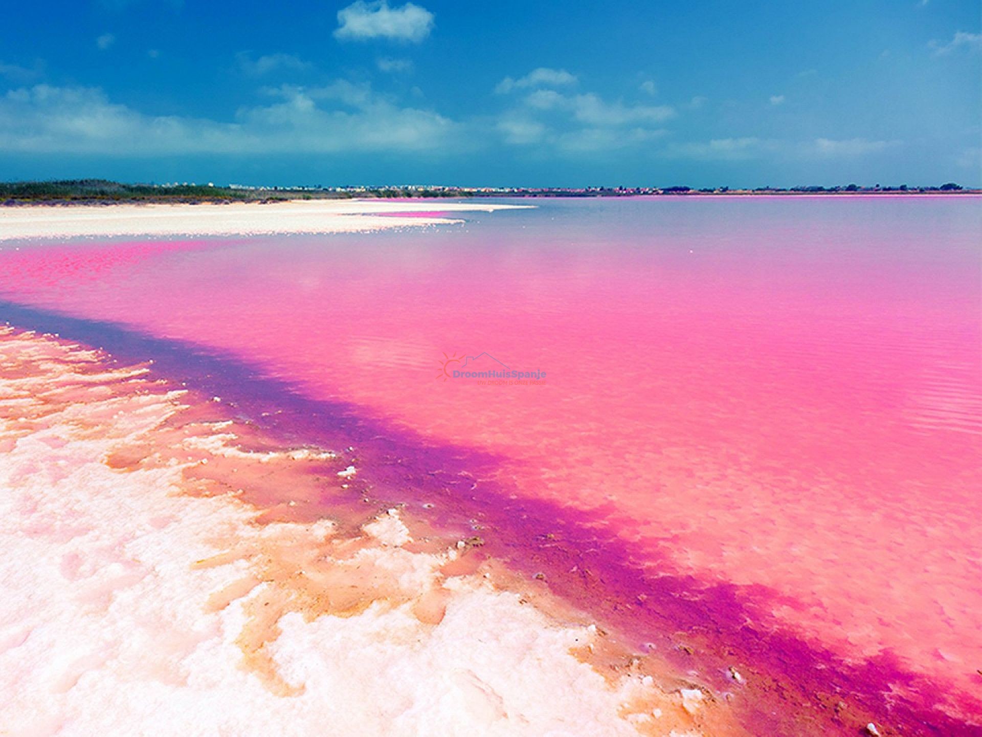 Atico en Torrevieja - Obra nueva - DroomHuisSpanje