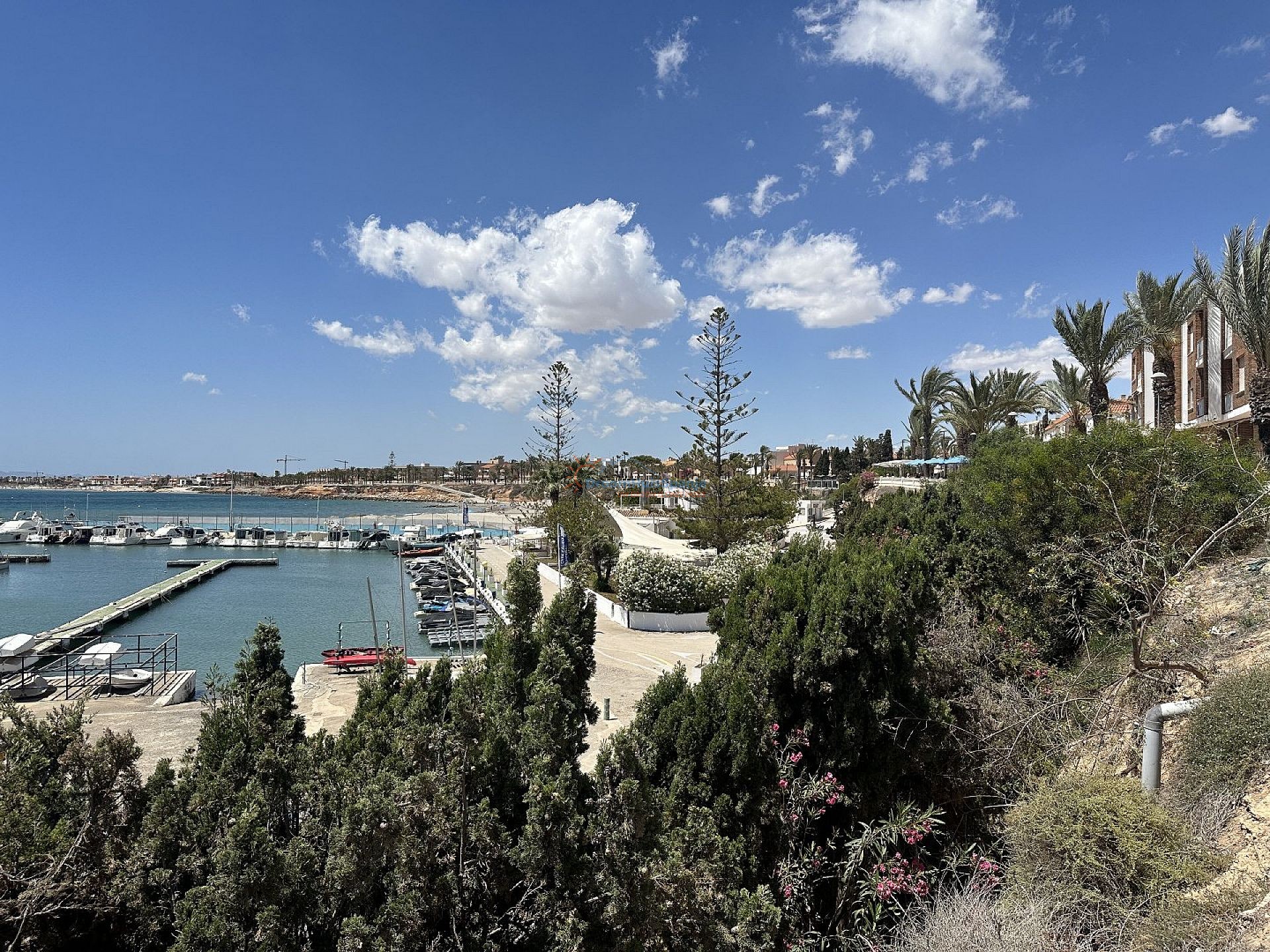 Detached Villa in Pilar de la Horadada - New build - DroomHuisSpanje