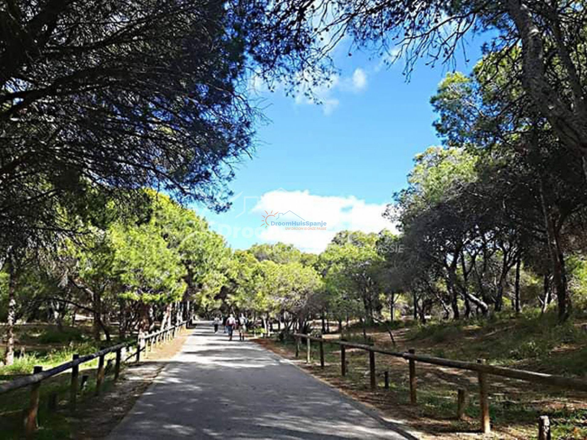 Ruime moderne appartementen op 600 meter van het strand - DroomHuisSpanje