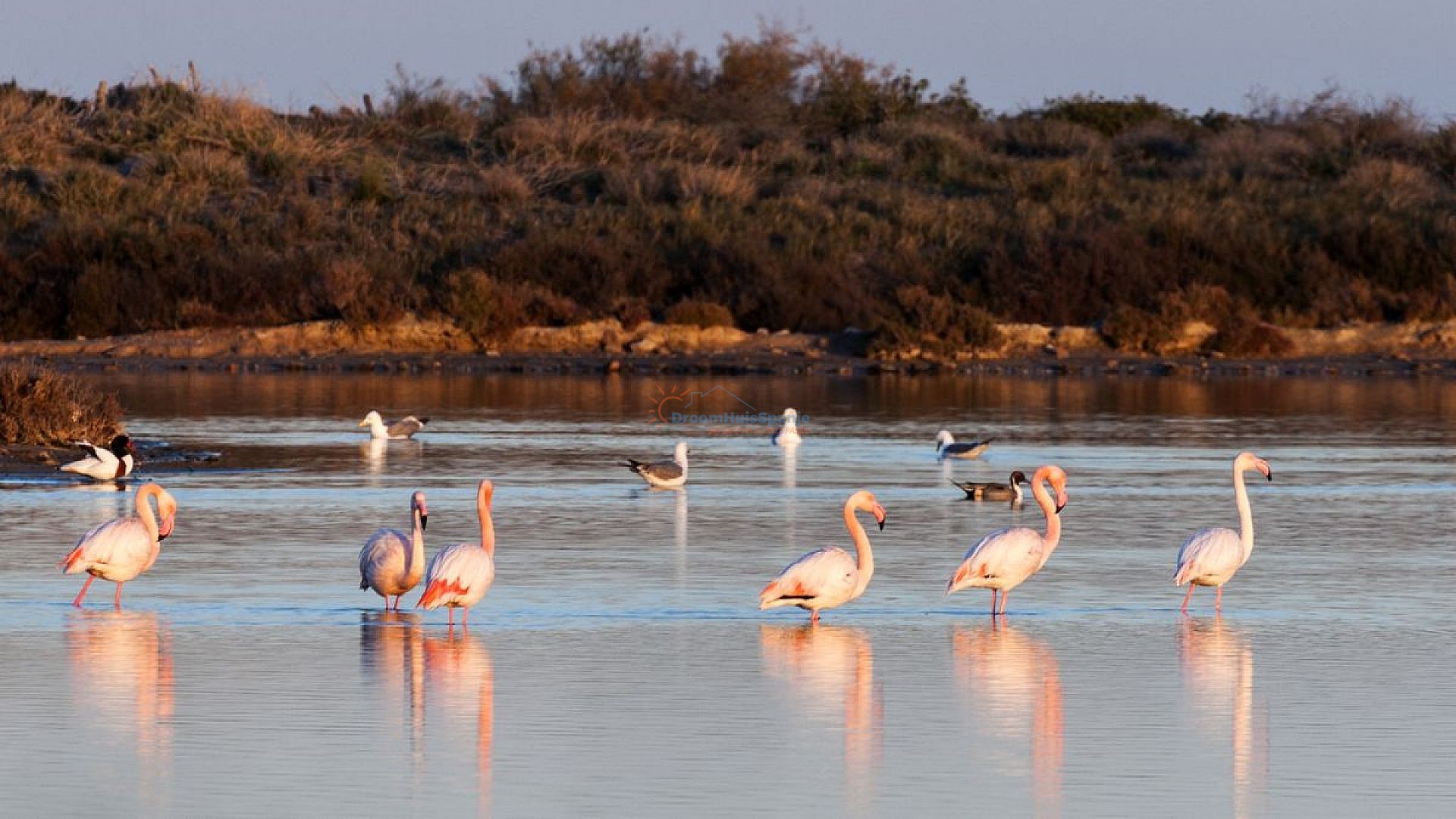 Penthouse te koop op mooie locatie in de Costa Calida - DroomHuisSpanje