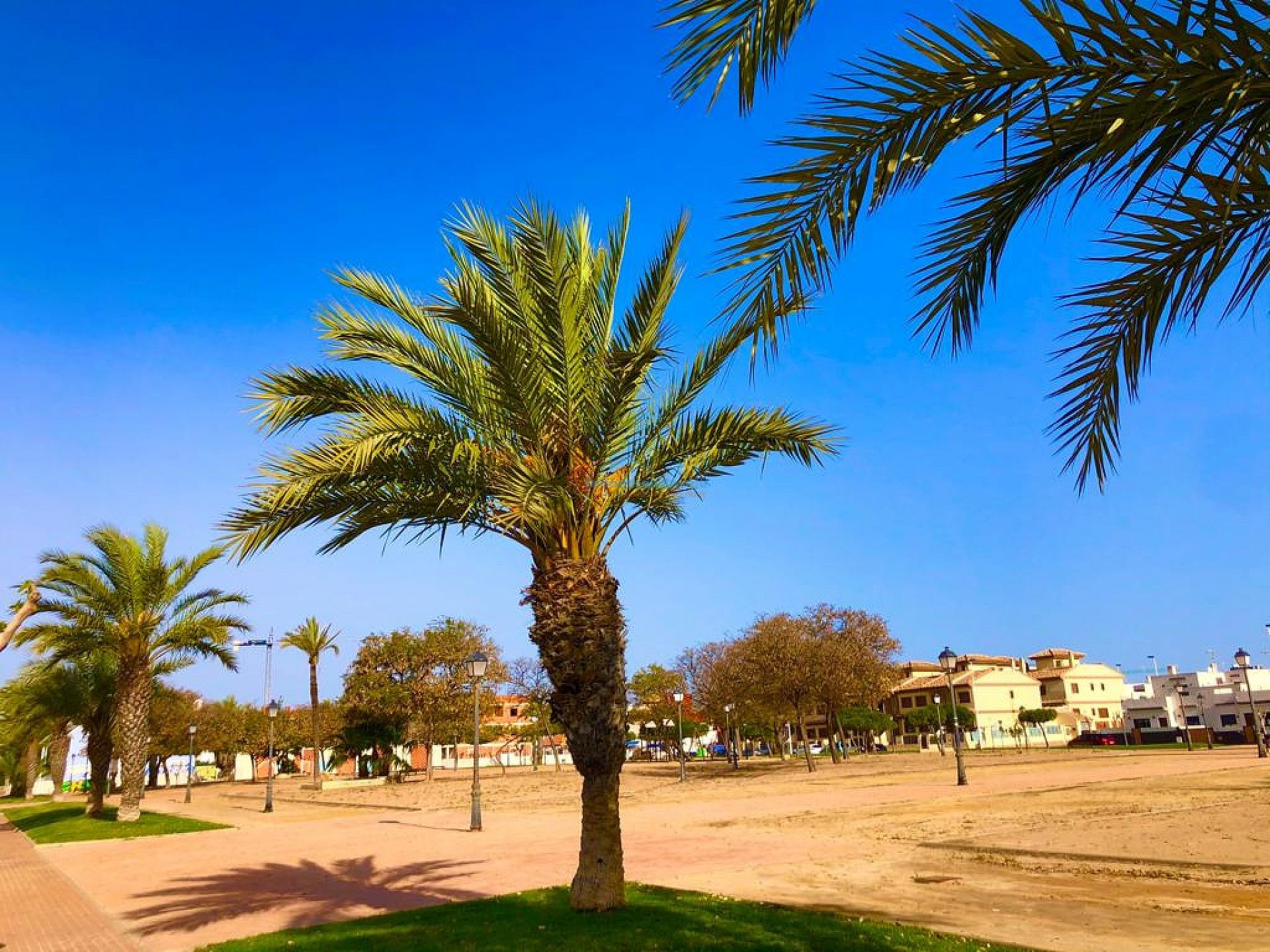 Gelijkvloers appartement in de Costa Calida, Murcia - DroomHuisSpanje