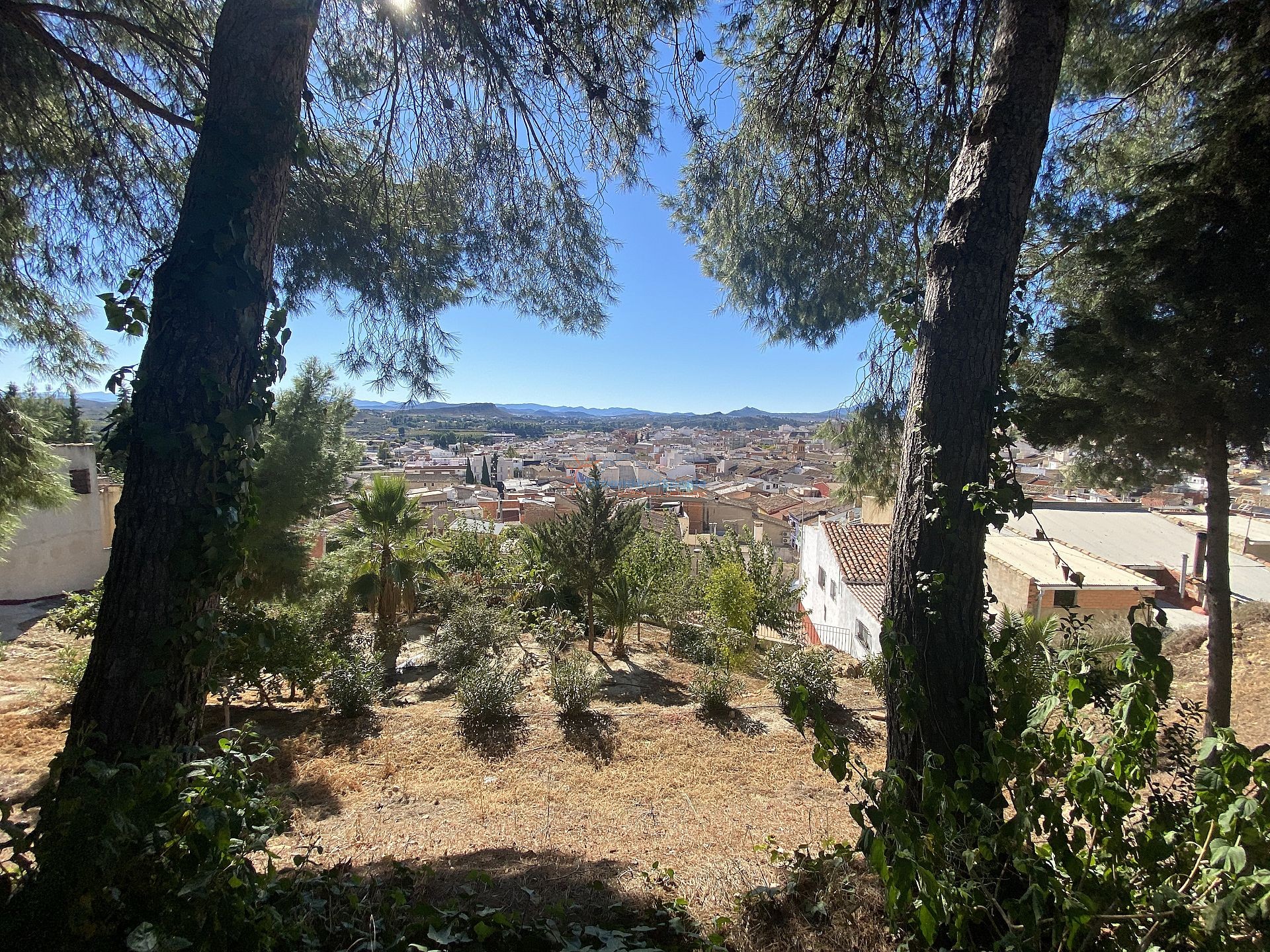 Chalet independiente en Calasparra - Obra nueva - DroomHuisSpanje